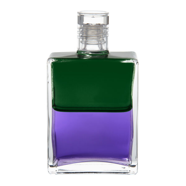 B17 - Verde / Violeta