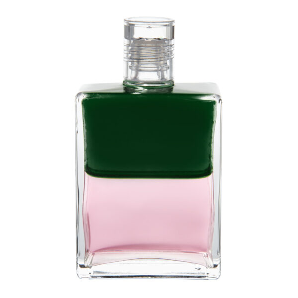 B21 - Verde / Rosa