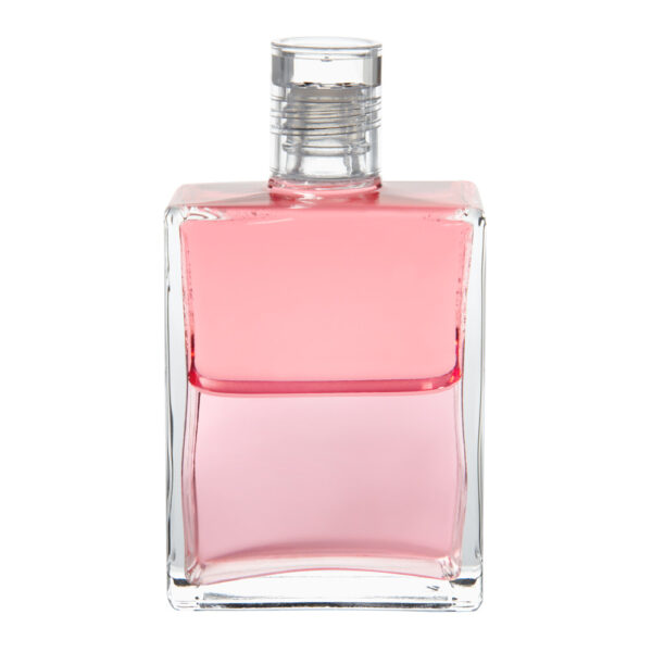 B23 - Rosa Rosa / Rosa