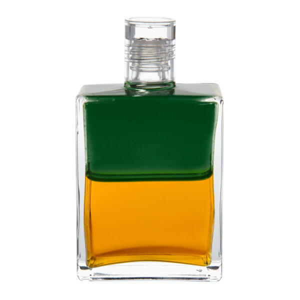 B31 - Verde / Oro
