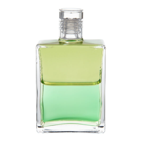 B53 - Verde pálido / Verde pálido