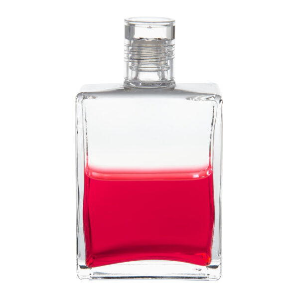 B55 - Plata / Rojo