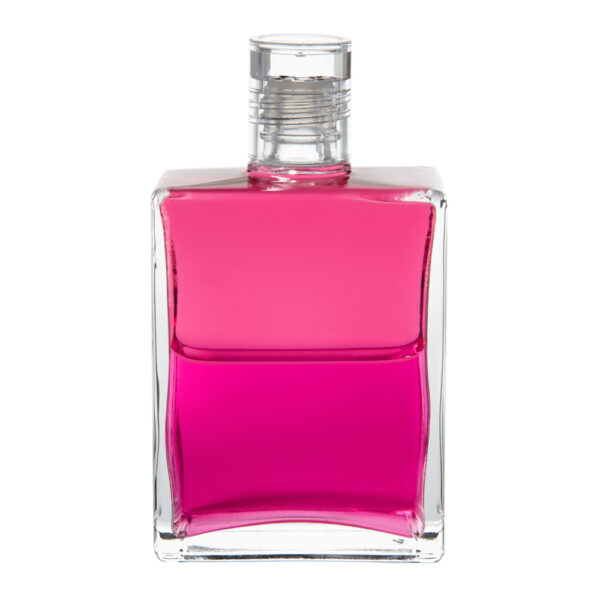 B67 - Magenta / Magenta