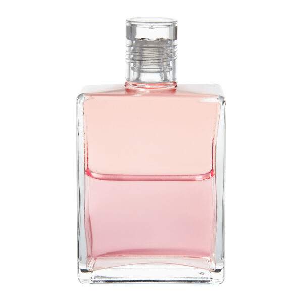 B81 - Rosa / Rosa